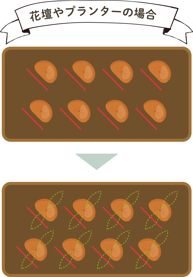 花壇やプランターの場合