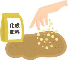 肥料