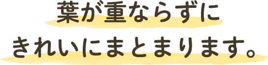 葉が重ならずにきれいにまとまります