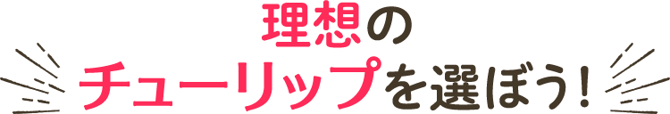 理想のチューリップを選ぼう！