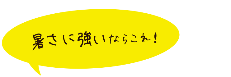 暑さに強いならこれ！