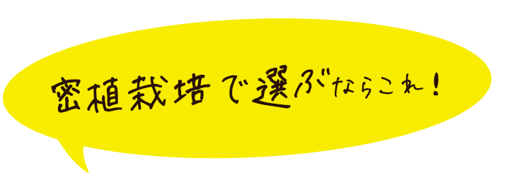 密植栽培で選ぶならこれ！