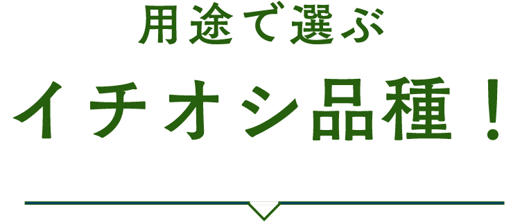 用途で選ぶ イチオシ品種！