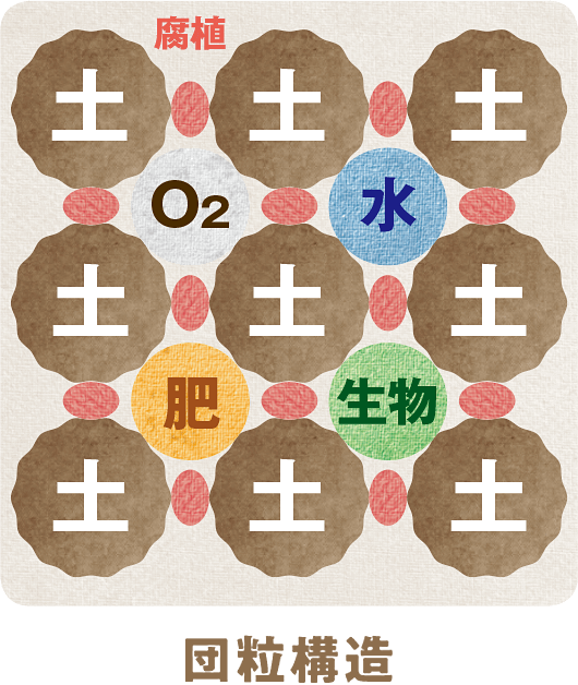 液肥 葉から直接吸収+根の活力アップ