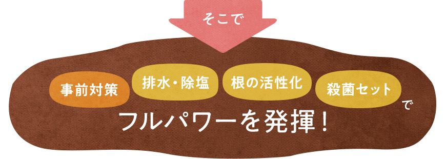 そこで事前対策、排水・除塩、根の活性化、殺菌セット