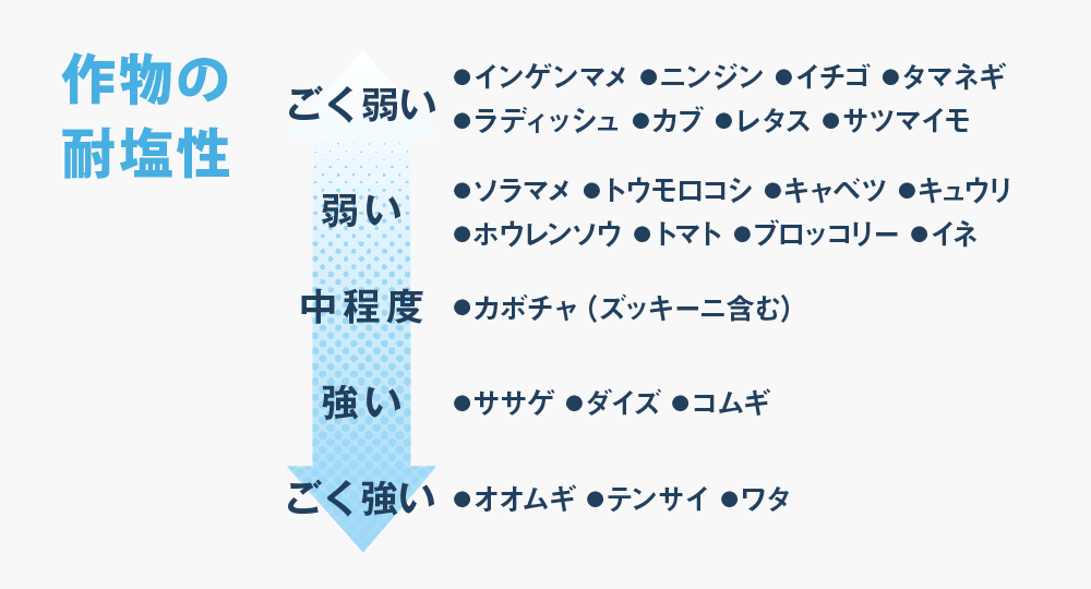 作物の耐塩性 ごく弱い(インゲンマメ・ニンジン・イチゴ・タマネギ・ラディッシュ・カブ・レタス・サツマイモ)⇒弱い(ソラマメ・トウモロコシ・キャベツ・キュウリ・ホウレンソウ・トマト・ブロッコリー・イネ)⇒中程度(カボチャ(ズッキーニ含む))⇒強い(ササゲ・ダイズ・コムギ)⇒ごく強い(オオムギ・テンサイ・ワタ)