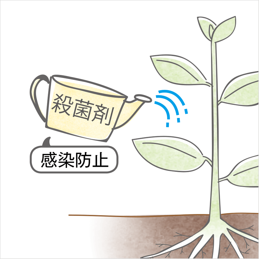 殺菌剤 感染防止