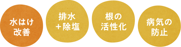 水はけ改善、排水+除塩、根の活性化、病気の防止