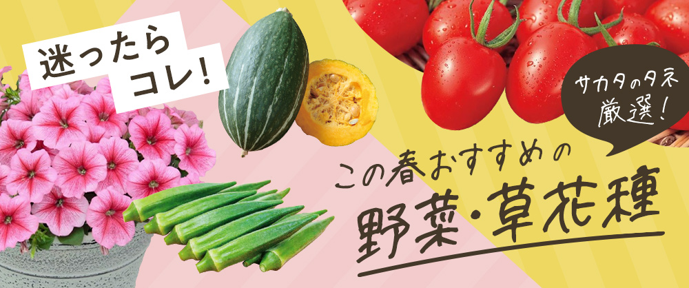 この春おすすめの野菜＆草花の種