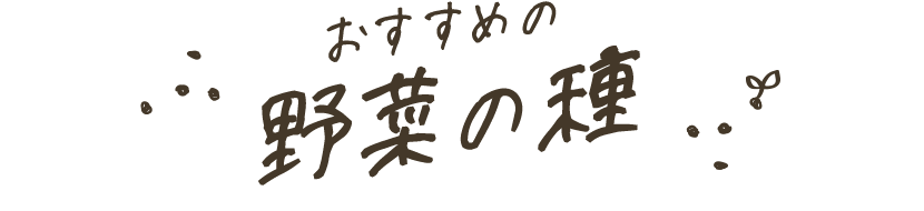 おすすめの野菜の種