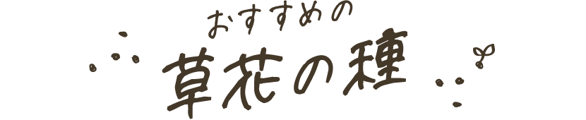 おすすめの草花の種