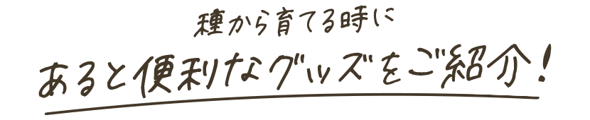 種から育てるときにあると便利なグッズをご紹介！