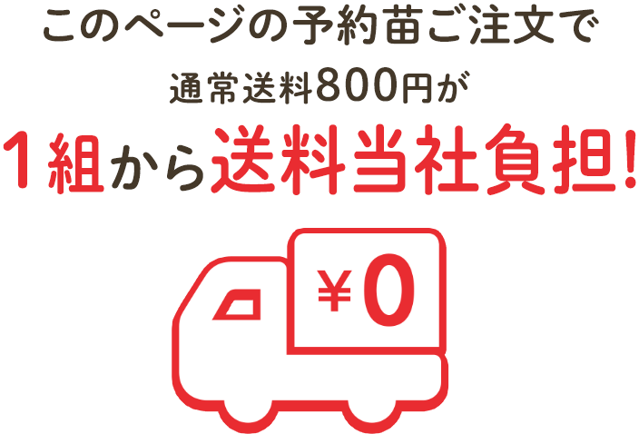 通常送料800円のところどの商品を購入しても1組から送料当社負担