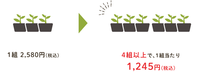 通常1組2,580円のところ、4組以上で、1組当たり1,245円