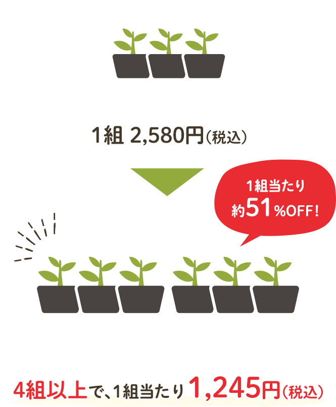 通常1組2,580円のところ、4組以上で、1組当たり1,245円