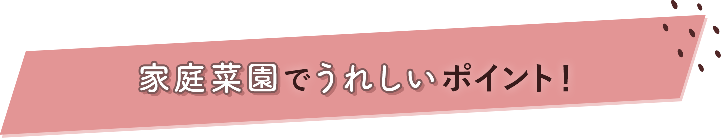 家庭菜園でうれしいポイント！