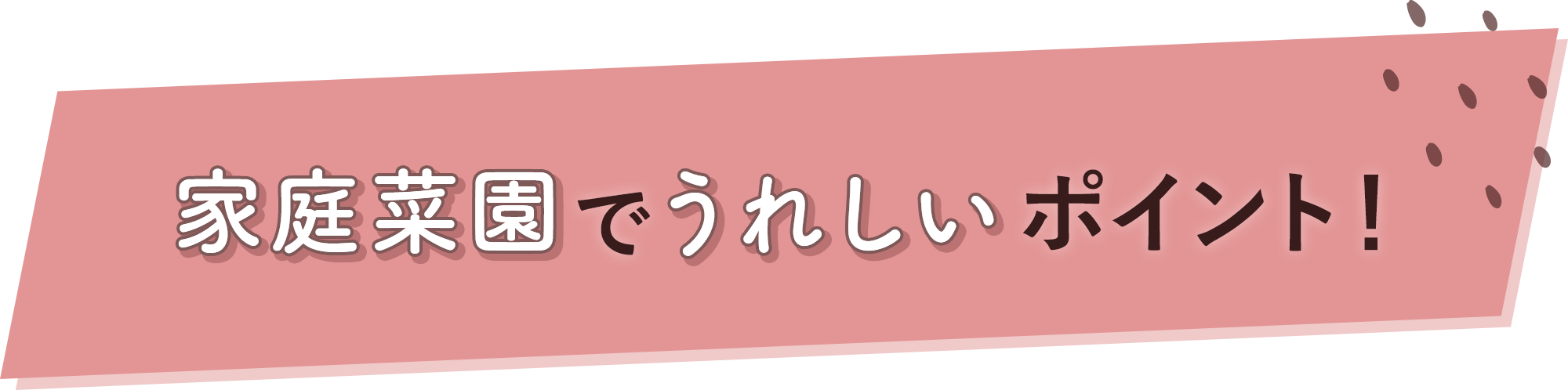 家庭菜園でうれしいポイント！