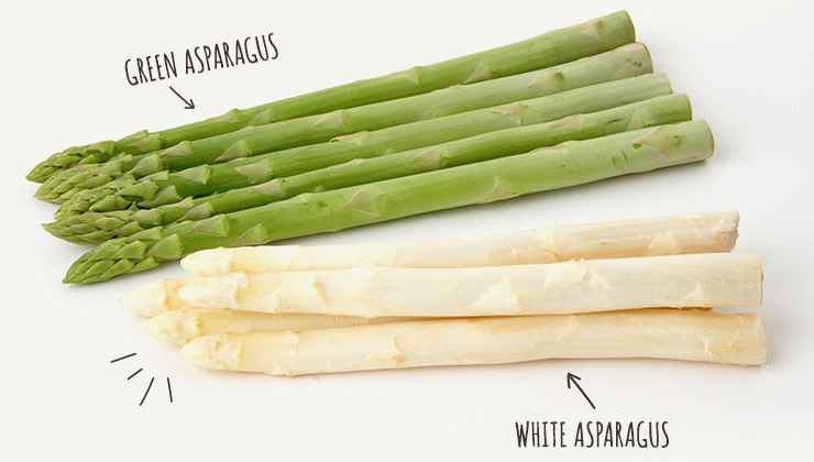 グリーンアスパラガス、ホワイトアスパラガス