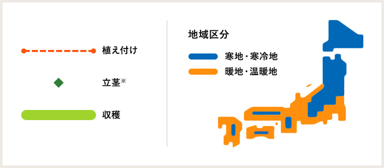 栽培カレンダー