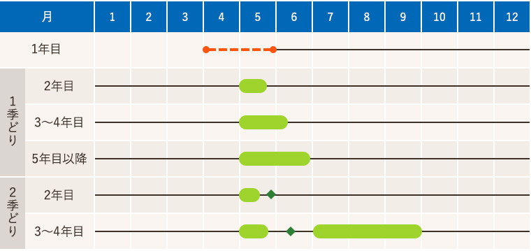 寒地・寒冷地のアスパラガスの作型図
