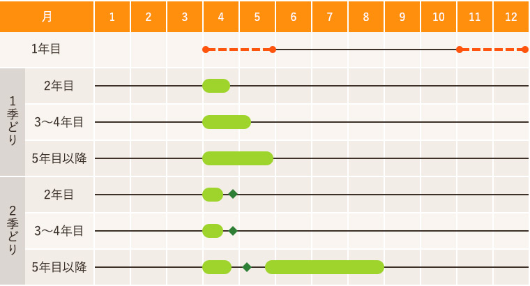 暖地・温暖地のアスパラガスの作型図