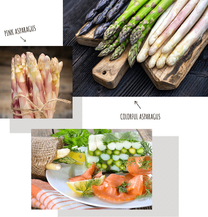 ピンクアスパラガス、カラフルアスパラガス