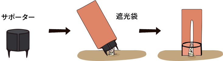 アスパラキャップを組み立てる