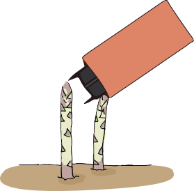 遮光袋を取り外して収穫する