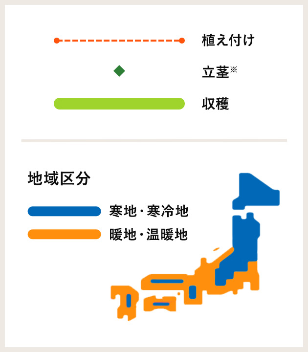 栽培カレンダー