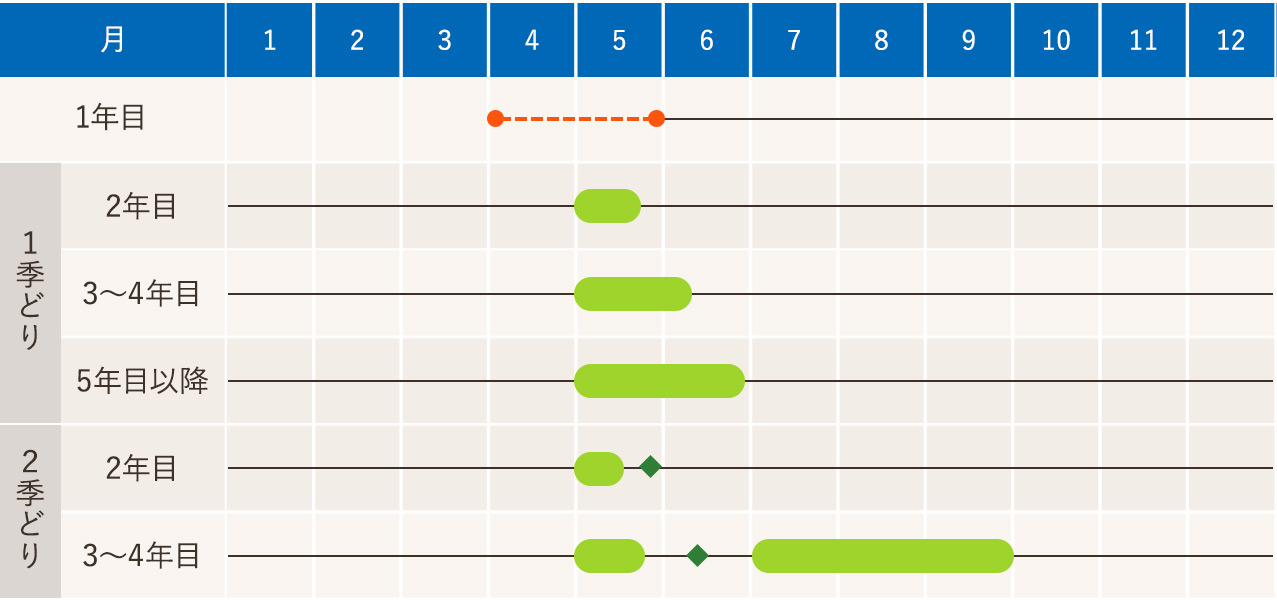 寒地・寒冷地のアスパラガスの作型図