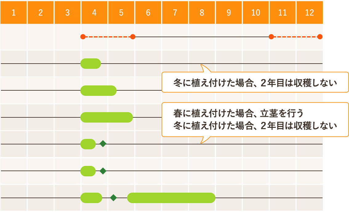 暖地・温暖地のアスパラガスの作型図