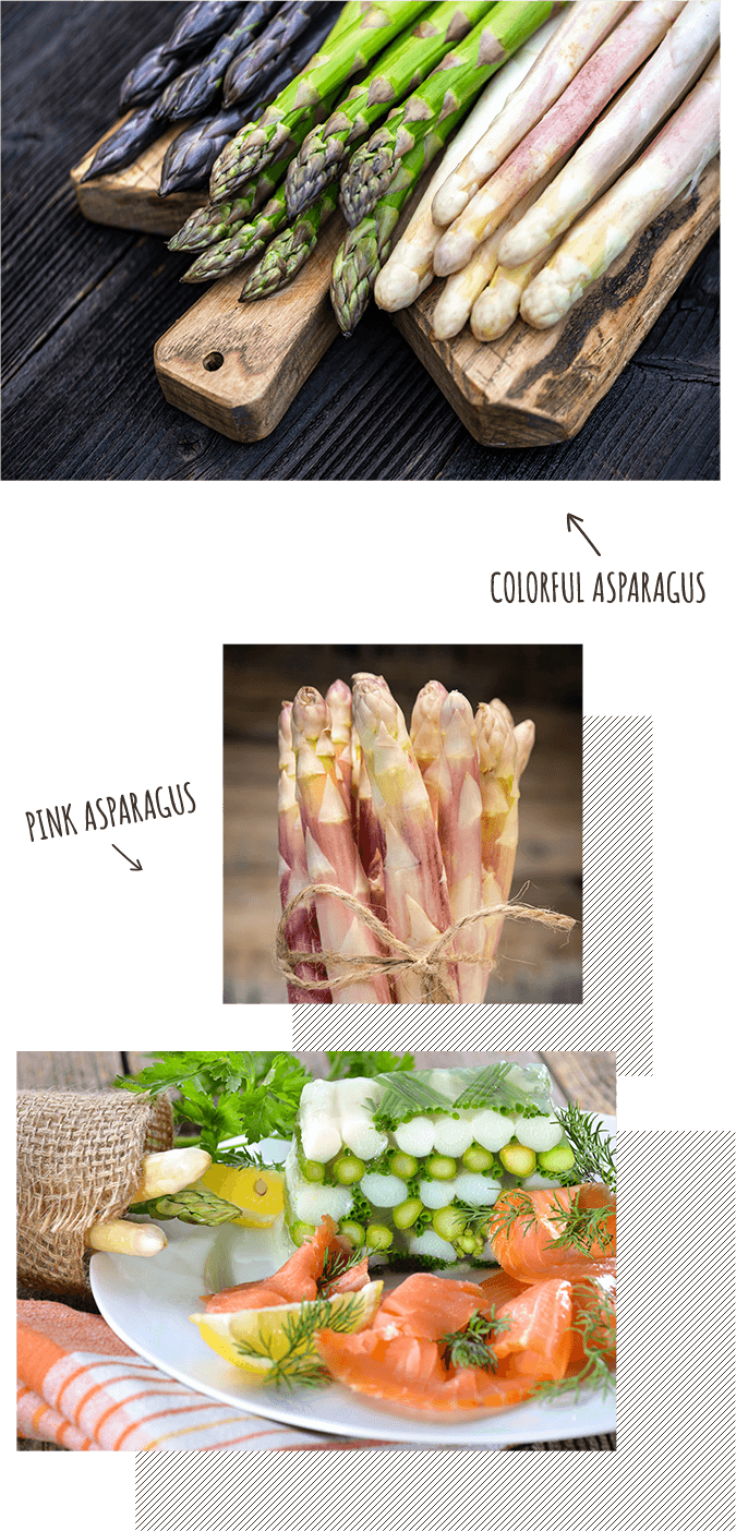 ピンクアスパラガス、カラフルアスパラガス