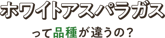 ホワイトアスパラガスって品種が違うの?