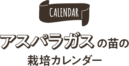 アスパラガスの苗の栽培カレンダー