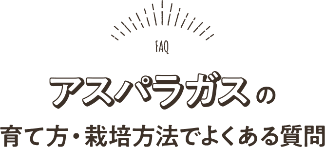 アスパラガスの育て方・栽培方法でよくある質問