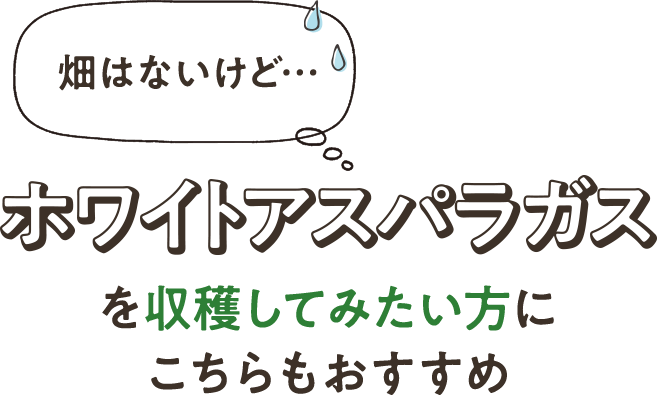 ホワイトアスパラガスを収穫してみたい方にこちらもおすすめ