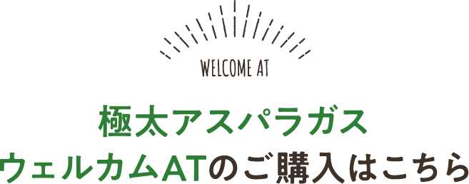 極太アスパラガス ウェルカムATのご購入はこちら