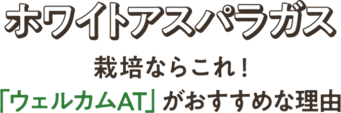 ホワイトアスパラガス栽培ならこれ!「ウェルカムAT」がおすすめな理由