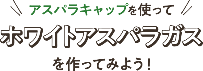 アスパラキャップを使ってホワイトアスパラガスを作ってみよう!