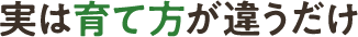 実は育て方が違うだけ