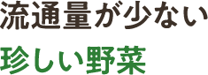 流通量が少ない珍しい野菜