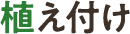 植え付け