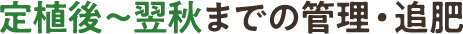 定植後~翌秋までの管理・追肥