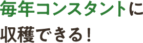 毎年コンスタントに収穫できる!