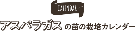 アスパラガスの苗の栽培カレンダー
