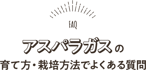 アスパラガスの育て方・栽培方法でよくある質問