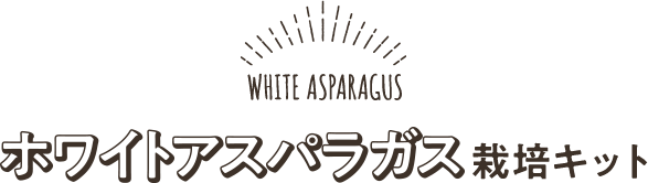 ホワイトアスパラガス栽培キット