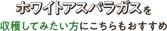 ホワイトアスパラガスを収穫してみたい方にこちらもおすすめ