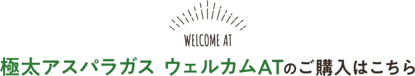 極太アスパラガス ウェルカムATのご購入はこちら