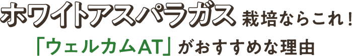 ホワイトアスパラガス栽培ならこれ!「ウェルカムAT」がおすすめな理由